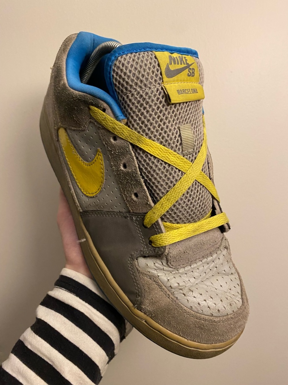 Nike SB Team Edition Barcelona